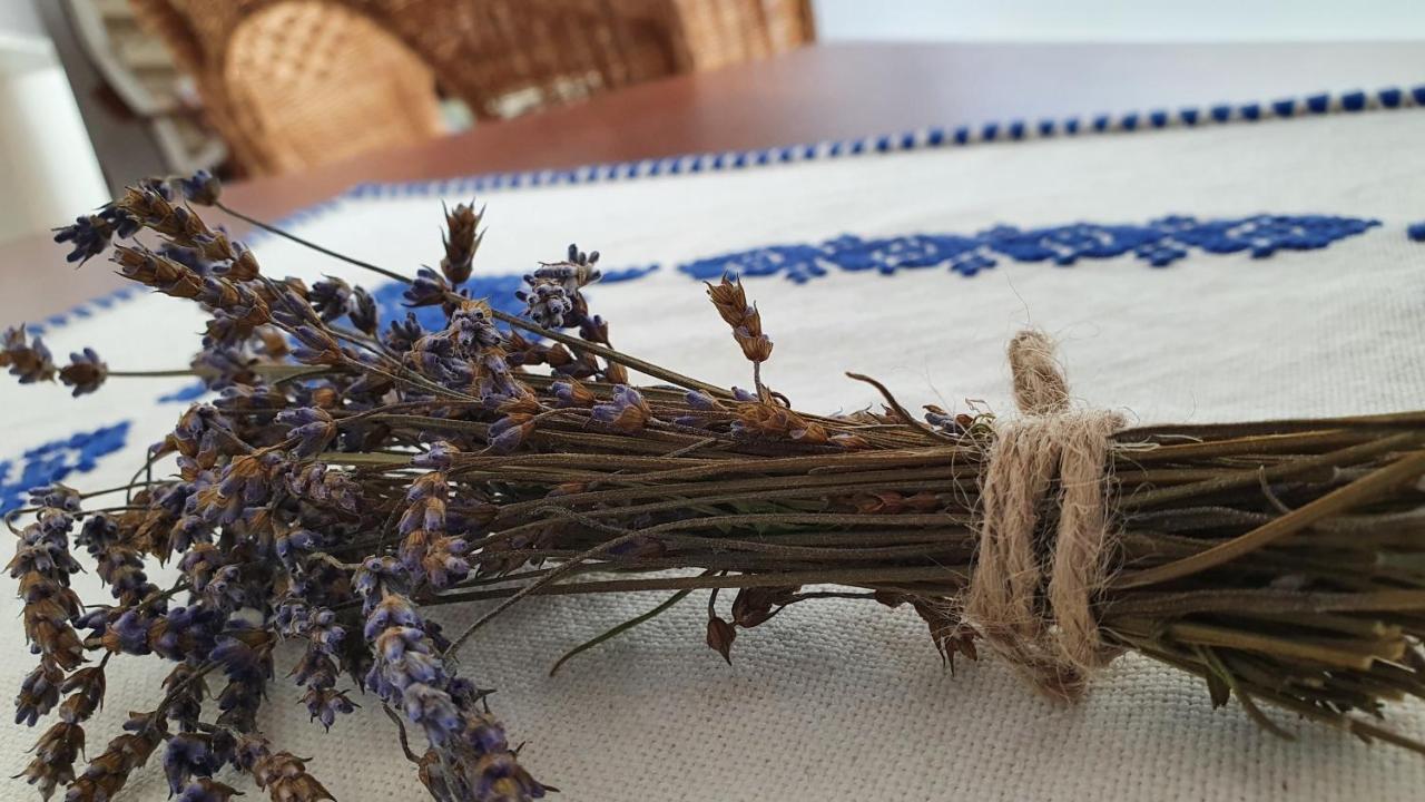 Pensiunea Aranyos Rimetea Bagian luar foto